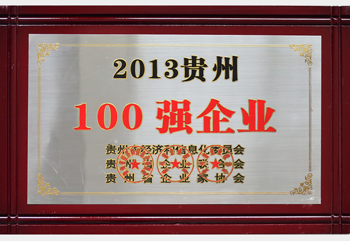 2013貴州100強企業