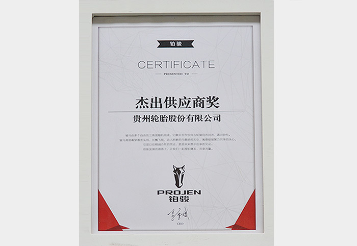 杰出供應商（鉑駿）