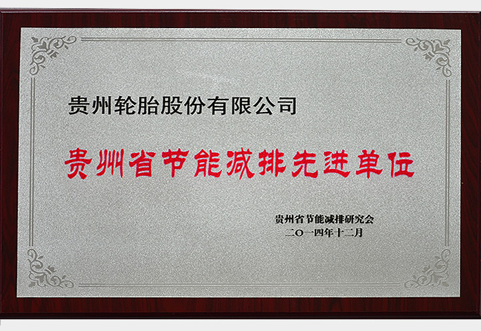 貴州省節能減排先進單位（2014.12）