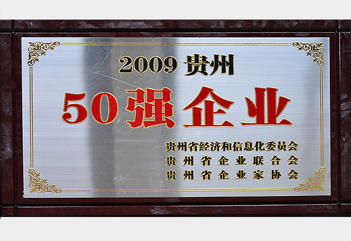 貴州省50強(2009)